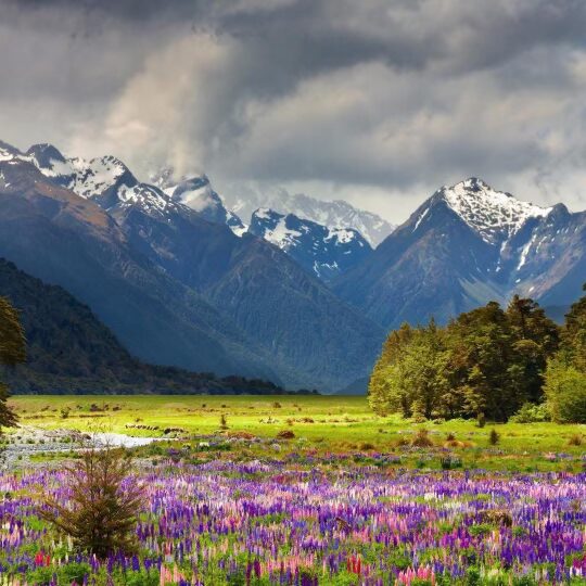 Finding Beauty in the Valley