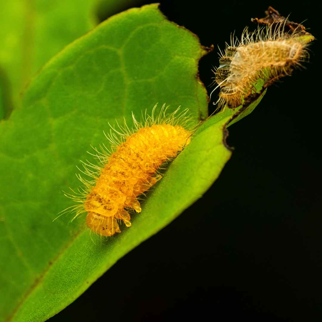 Choosing Friends Carefully